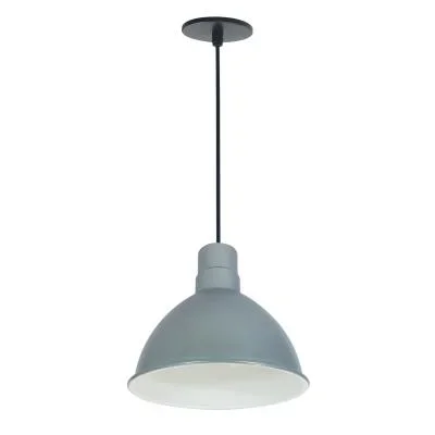 10″ Rlm Shade2557997