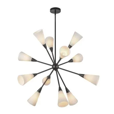 12 Light Chandelier2422249