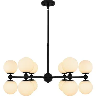 12 Light Chandelier9580502