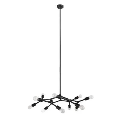 12 Light Pendant2468737