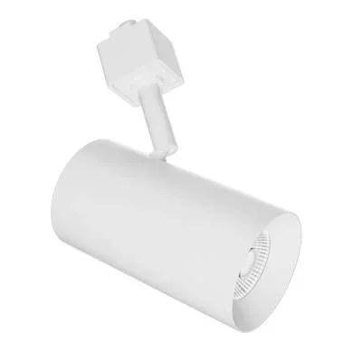 2″ Trk Hd 1150Lm 3000K 38Deg Bm2666847