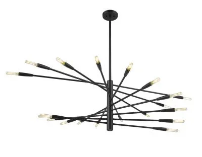 20 Light Chandelier2251322