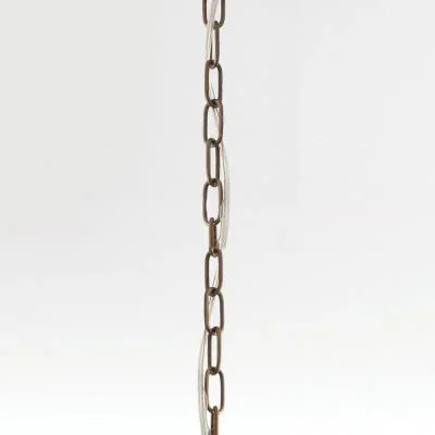 3′ Extension Chain8319835