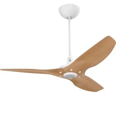 52″Ceiling Fan Kit9584849