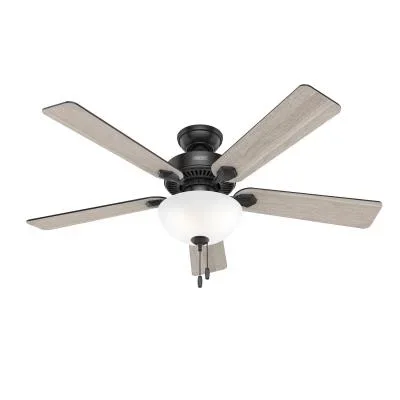 52″Ceiling Fan2552813