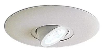 6″ Surface Adjustable Round Spot W/ Metal Trim856614