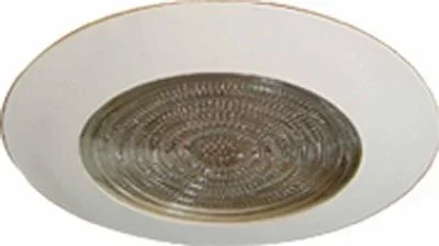 8” outside diameter Recessed Fresnel Shower Trim.581859
