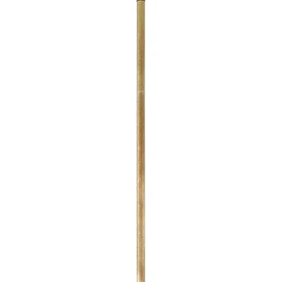 Accessory Stem2562504