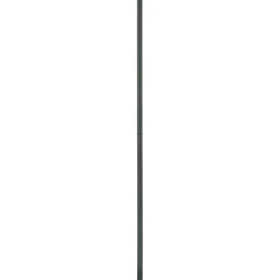 Accessory Stem2564516