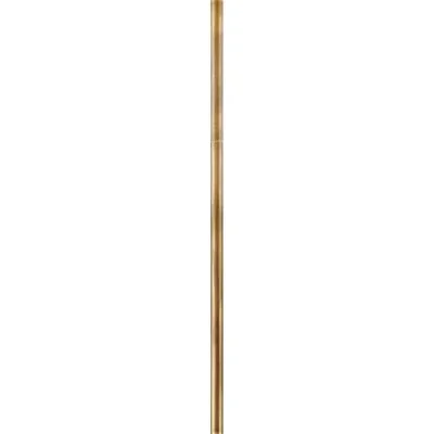 Accessory Stem4164169