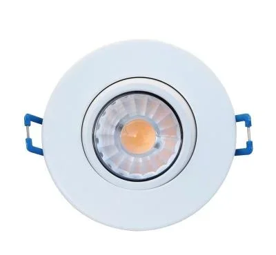 Adjustable Recessed Light2630680