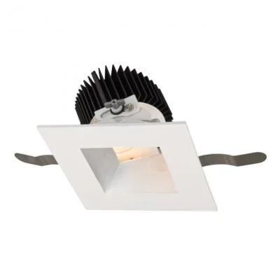 Adjustable Trim with LED Light Engine500791
