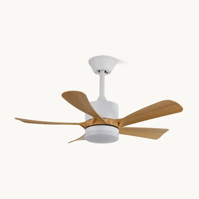 Artesia Ceiling Fan LightMJFC-1009-1