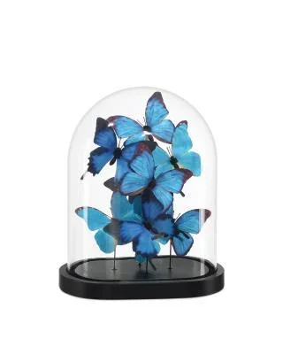 Butterflies3494877
