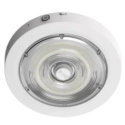 Canopy Light2682553