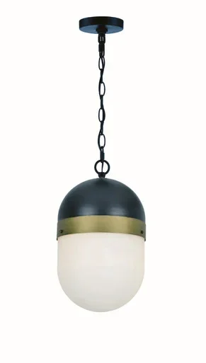 Capsule One Light Outdoor Pendant (CAP-8507-MK-TG)
