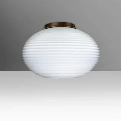 Ceiling Mount2401536