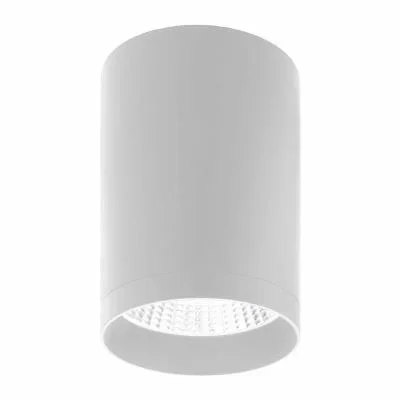 Ceiling Mount2631102