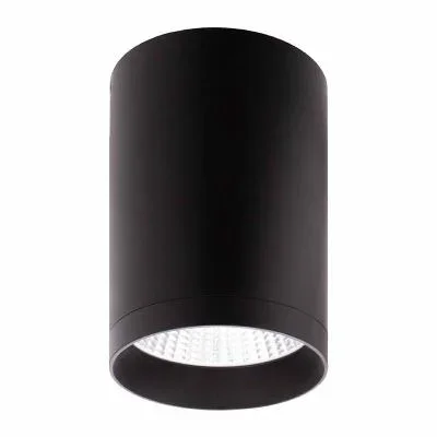 Ceiling Mount2694484