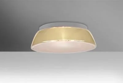 Ceiling Mount414902