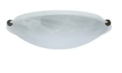 Ceiling Mount484671