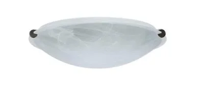 Ceiling Mount626899