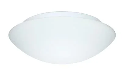 Ceiling Mount657086