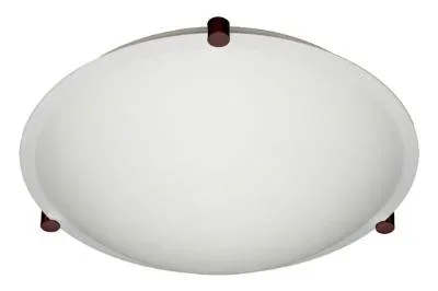 Ceiling Mount678355