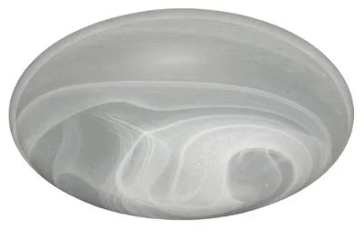Ceiling Mount743666