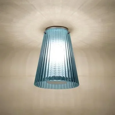 Ceiling Mount8012458