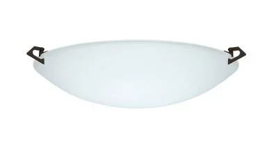Ceiling Mount847856