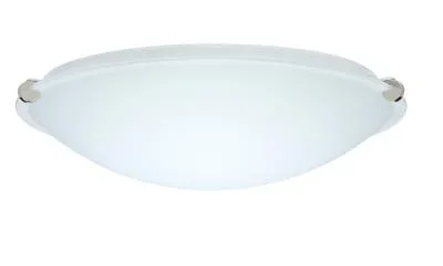 Ceiling Mount848119
