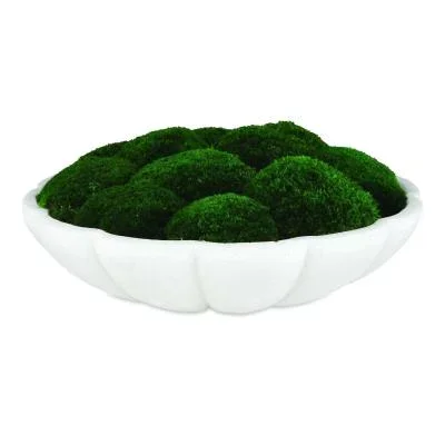 Centerpiece4543441