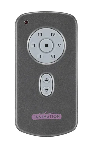 Controls Hand Held DC Motor Remote and Transmitter (TR31)