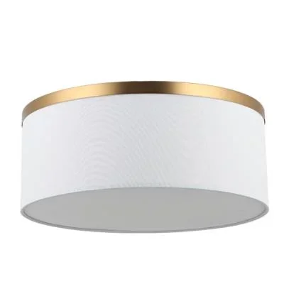 Five Light Flush Mount4957189