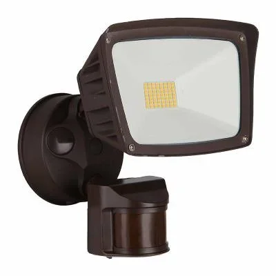 Flood Light With Base2645967