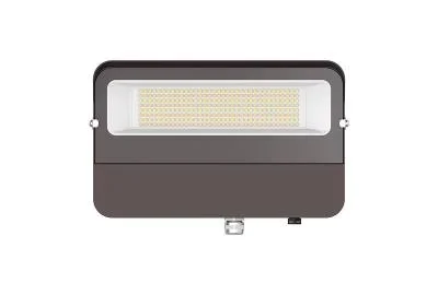 Flood Light2210289