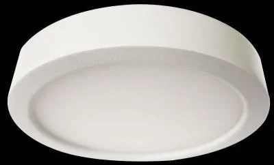 Flush Mount2282942