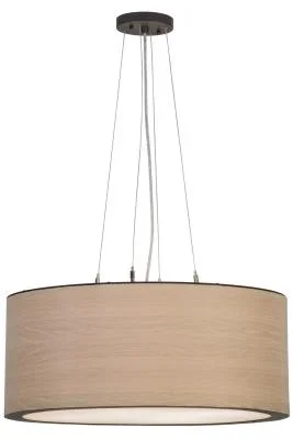 Four Light Pendant225278