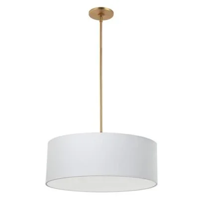 Four Light Pendant4568503