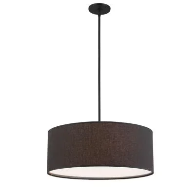 Four Light Pendant4568544