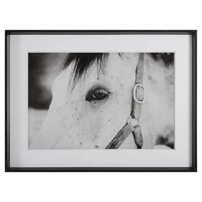 Framed Print6306709