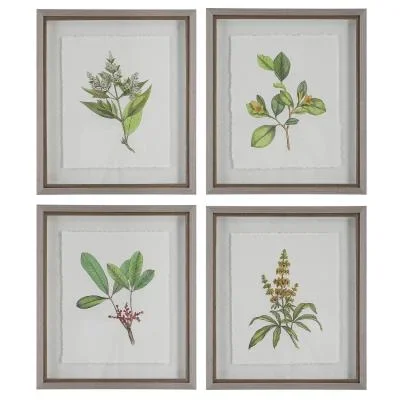 Framed Prints, S/46351730