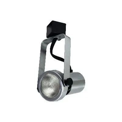 Gimbal Par20 Natural484904