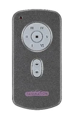 Hand Held DC Motor Remote and Transmitter532576