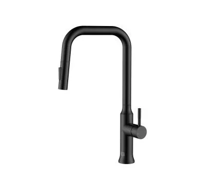 Kitchen Faucet2598571