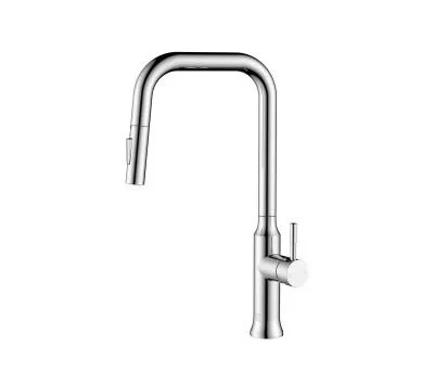 Kitchen Faucet2598582