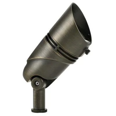 LED Accent010644