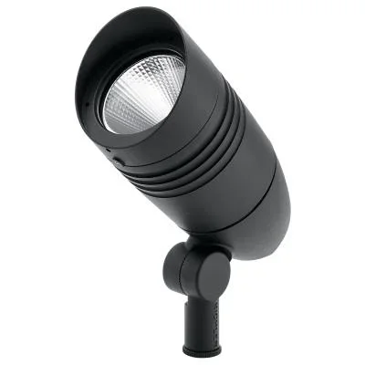LED Accent564443