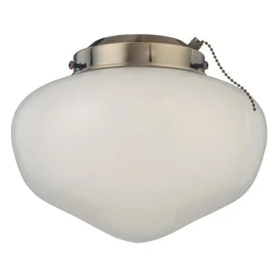 LED Ceiling Fan Light Kit103106